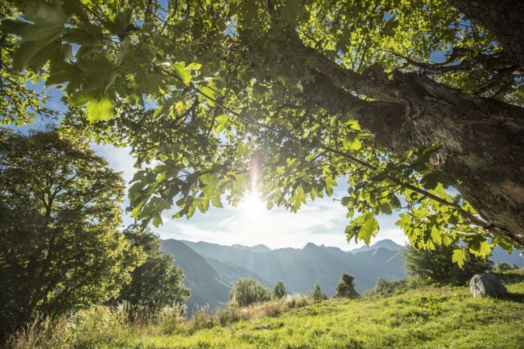 week end yoga vue nature